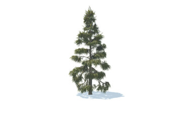 christmas tree isolated