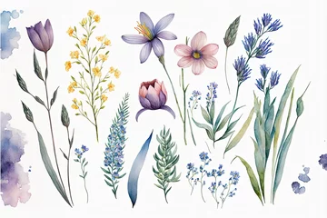 Fototapete Aquarell Natur Set Watercolor Flowers On Paper. Generative AI