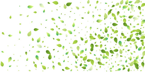 Leaves Green Falling Flying Foliage Leaf Tea Mint