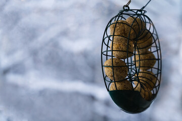 Fat ball bird feeder outside on a winter day.
