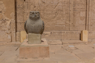 Horus as falcon guarding the temple in Edfu, Egypt - obrazy, fototapety, plakaty