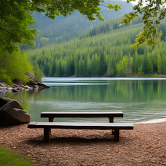 Wooden Bench Seat on the River Bank: A Stunning View of the Green Forest