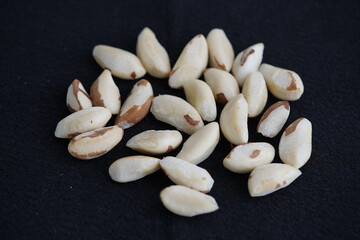 The well-known Para nuts, (Bertholletia excelsa) Lecythidaceae family, come from the Amazon region. Manaus - Amazonas, Brazil.