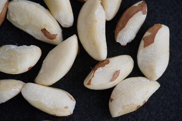 The well-known Para nuts, (Bertholletia excelsa) Lecythidaceae family, come from the Amazon region. Manaus - Amazonas, Brazil.