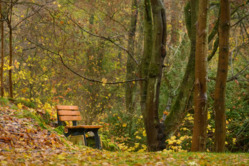 Herbstwald regnerisches Wetter im Park mit einer Bank