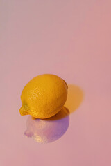 Lemon with reflection, pastel pink background, modern still life, with copy space