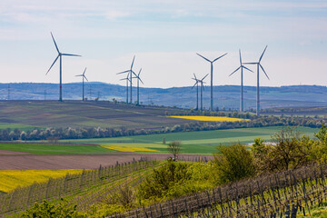 Landscape with vines and fields in front of countless wind turbines on the horizon in German...