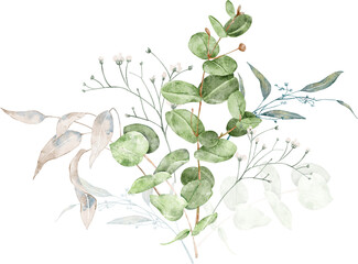 Watercolor wildflowers eucalyptus greenery and dry flowers bouquet, foliage, vintage branch painting