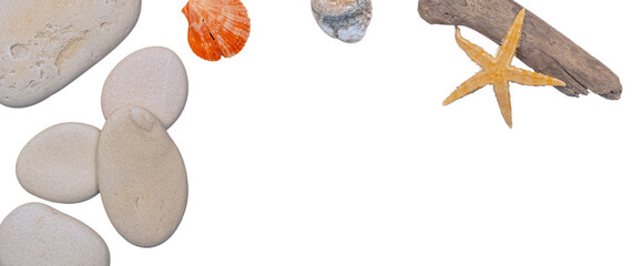 Coquillages et une étoile de mer sur un fond transparent pour arrière plan.