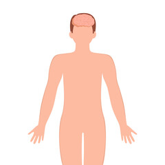 Fototapeta premium Human brain illustration. Male silhouette with brain isolated on white background. Concept for mental, psychological, brain development, learning and education or other medical theme. vector