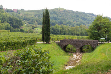 old bridge in italian vineyards 