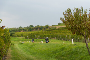village in the vineyards