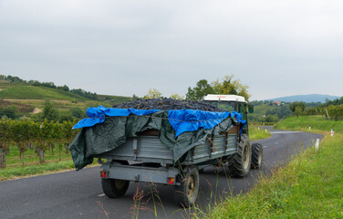 truck carrying grapes in the vineyards