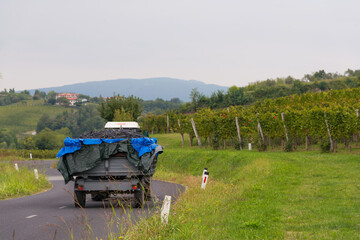 truck carrying grapes in the vineyards