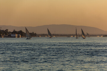 Evening view of felucca sail boats at the river Nile in Luxor, Egypt