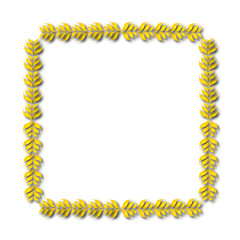 frames in vintage style with elements of ornament, art, pattern, background, texture