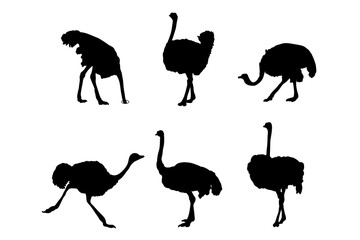 Set of silhouettes of ostriches vector design
