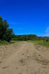 wide dirt trail in the middle of the savannah on a very hot day