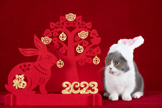 a cute cat wears a hat with rabbit ears nearby a Chinese New Year of Rabbit mascot paper cut the Chinese means fortune no logo no trademark