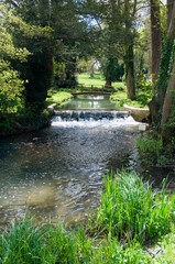 Fototapeta na wymiar The river Glyme at Glympton, Oxfordshire, with a footbridge and small waterfall / weir, spring sunshine,