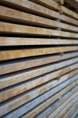 Obraz premium wood log firewood tree cut pile stack timber, oak, nature logs woodpile lumber trunk, brown texture forest trees pattern wooden industry stacked circle abstract natural forestry processing