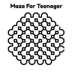 Maze Puzzle