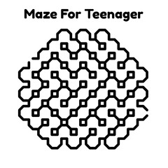 Maze Puzzle