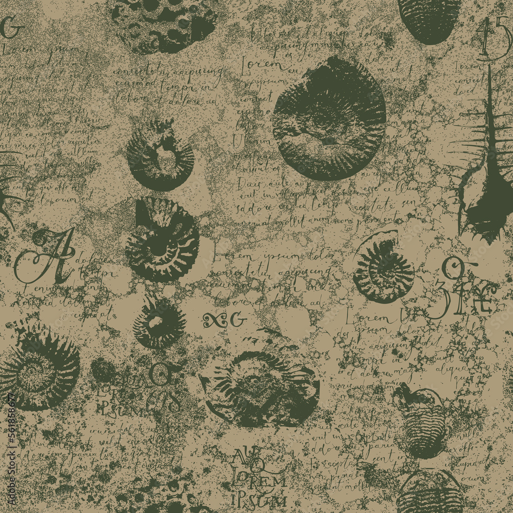 Poster vector seamless pattern background with photo of ancient ammonite shells and trilobites and text lor