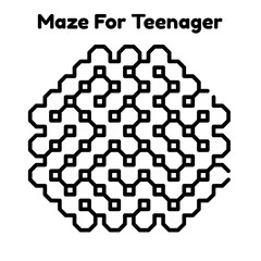 Maze Puzzle