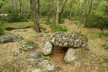 dolmen de Cornudella. (Dolmen de la cabaneta del tancat de dallt) Transás Forest. Aragones Pyrenees. Huesca. Spain. © Tolo