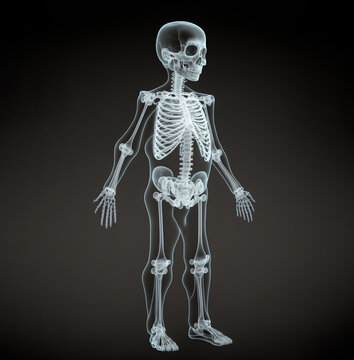 x-ray image of human skeleton, AI generate