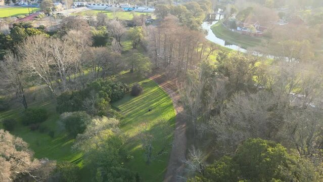 Parque con camino y mucha flora 