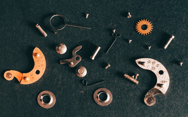 macro pocket watch components/parts