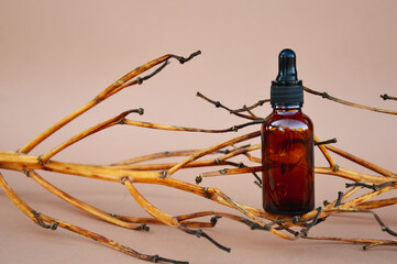 Fototapeta na wymiar Selective focus. Brown cosmetic bottles on a beige background with wooden decor in the form of branches. The basis for inspiration in cosmetic products. Cosmetic background for product presentation. 