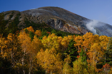 火山の紅葉