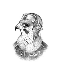  Peregrine falcon pilot character with glasses in a hat. Hand drawn fashionable bird. Engraved old monochrome sketch.