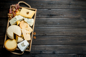Different types of cheese in a wooden tray with grapes . - 561862015