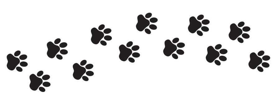 Footprints of pets, dogs or cats. Pet prints. Paw pattern. Paw print in the form of a black silhouette.