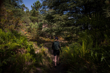 Fototapeta na wymiar Hiking in the woods