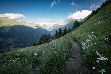 alpine landscape in the carinthian mountains in Virgental