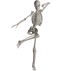 skeleton posing 3d render illustration with transparent background