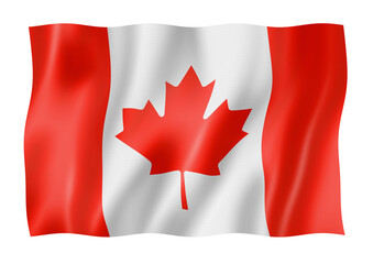 Canadian flag isolated on white