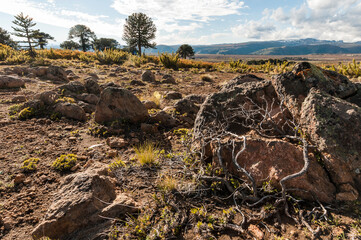 sur de  chile, cordillera, alta monta&ntilde;a, paisaje, montagna, cielo, naturaleza, nube, cerro, montagna, nube, c&eacute;sped, verano, impresiones, &aacute;rbol, viajando, escenario, atardecer, panorama, bosque, campo,