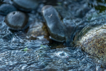 textura de  agua, agua de  rio, agua corriendo, acuático, río, naturaleza, arroyo, olas, mar, gemas, roca, chorros, oceáno, llover, charcas, primavera, verde, lago, azul, fresco, catarro, mojado, borb