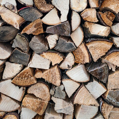 Texture of stacked logs