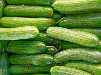 Organic green cucumbers top view close up, fresh vegan food background.