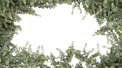 frame of flowers copy space for text with cut out isolated on background transparent