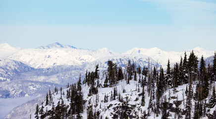 Snow and Cloud covered Canadian Nature Landscape Background. Winter Season in Whistler, British Columbia, Canada. From Blackcomb Mountain