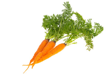 carrot with leaves isolated