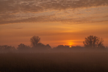 sunrise in the meadow